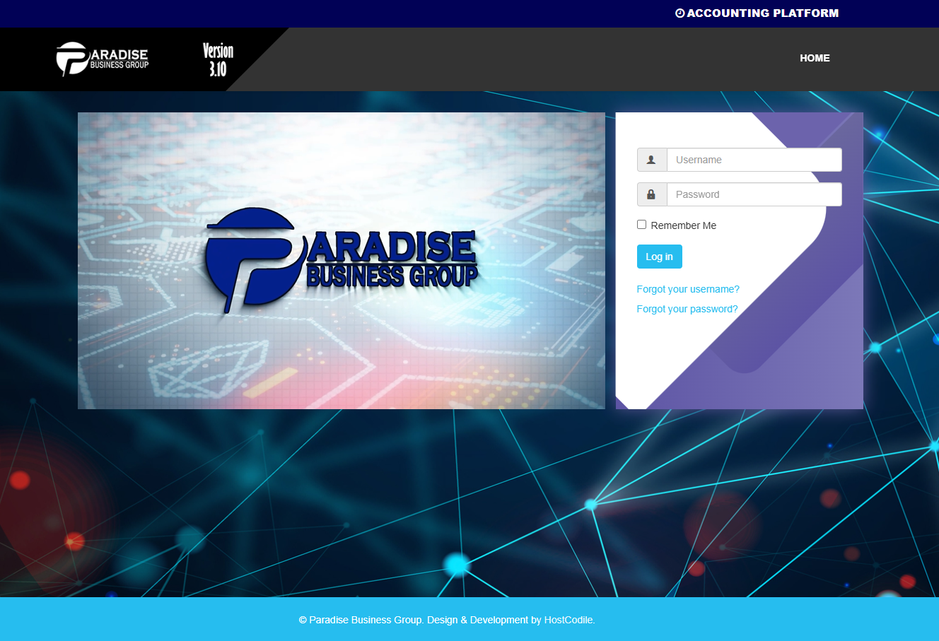 MultiLedger – Online Multi-Currency Accounting System